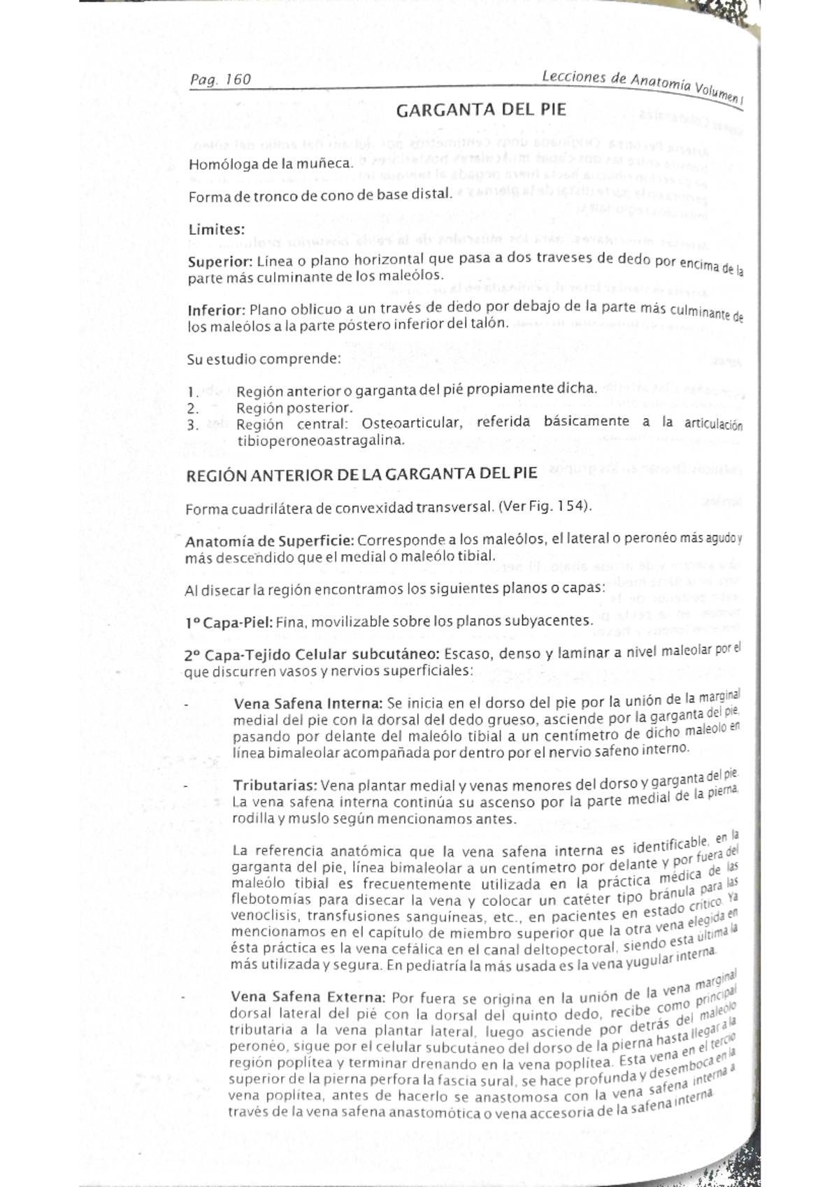 LECTURAS LECTURA DE LA GARGANTA DEL PIE ANATOMÍA HUMANA I Studocu