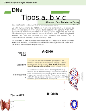 Tipos De dna - Esta clasificación es de acuerdo a su estructura secundaria  La estructura primaria - Studocu