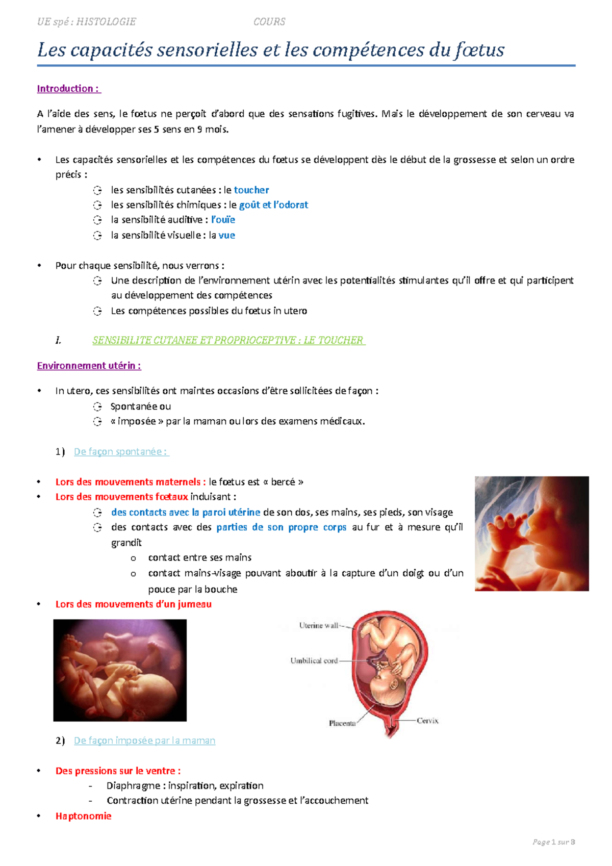 C1 Les Capacit s Sensorielles Et Comp tences Du F tus Les Capacit s 