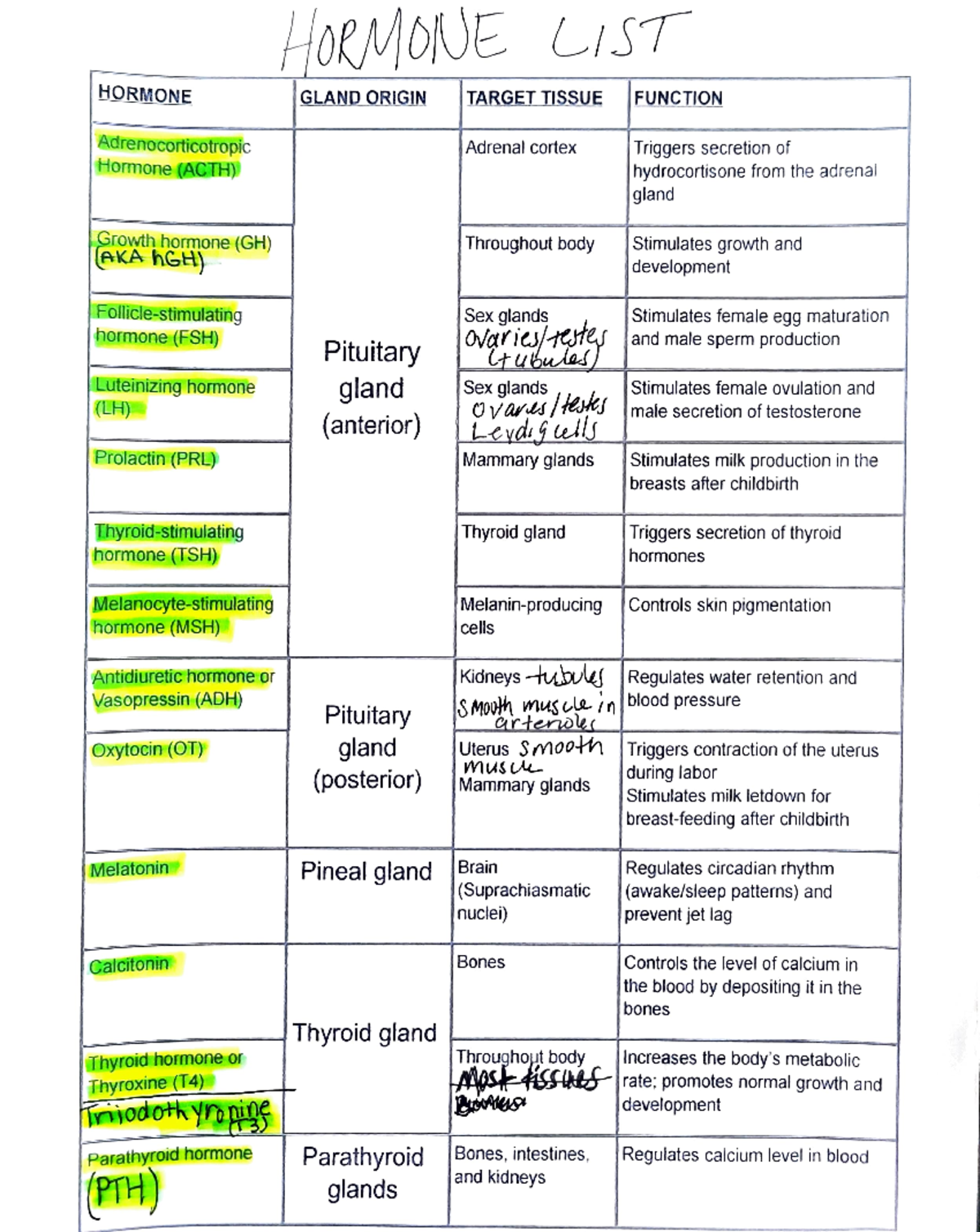 Hormones for A&P II - HORMONE LIST HORMONE GLAND ORIGIN TARGETTISSUE