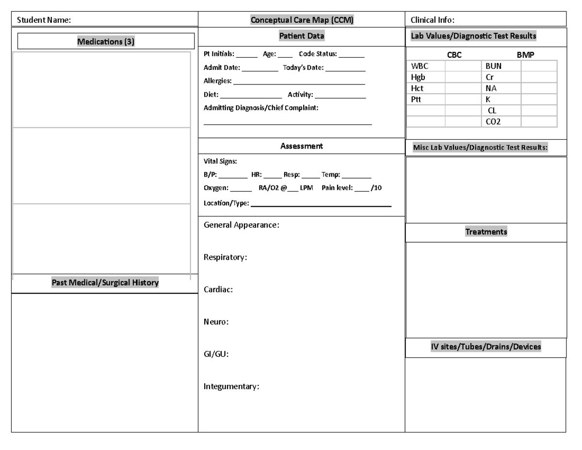 CCM Template Final - N410 - Student Name: Conceptual Care Map (CCM ...