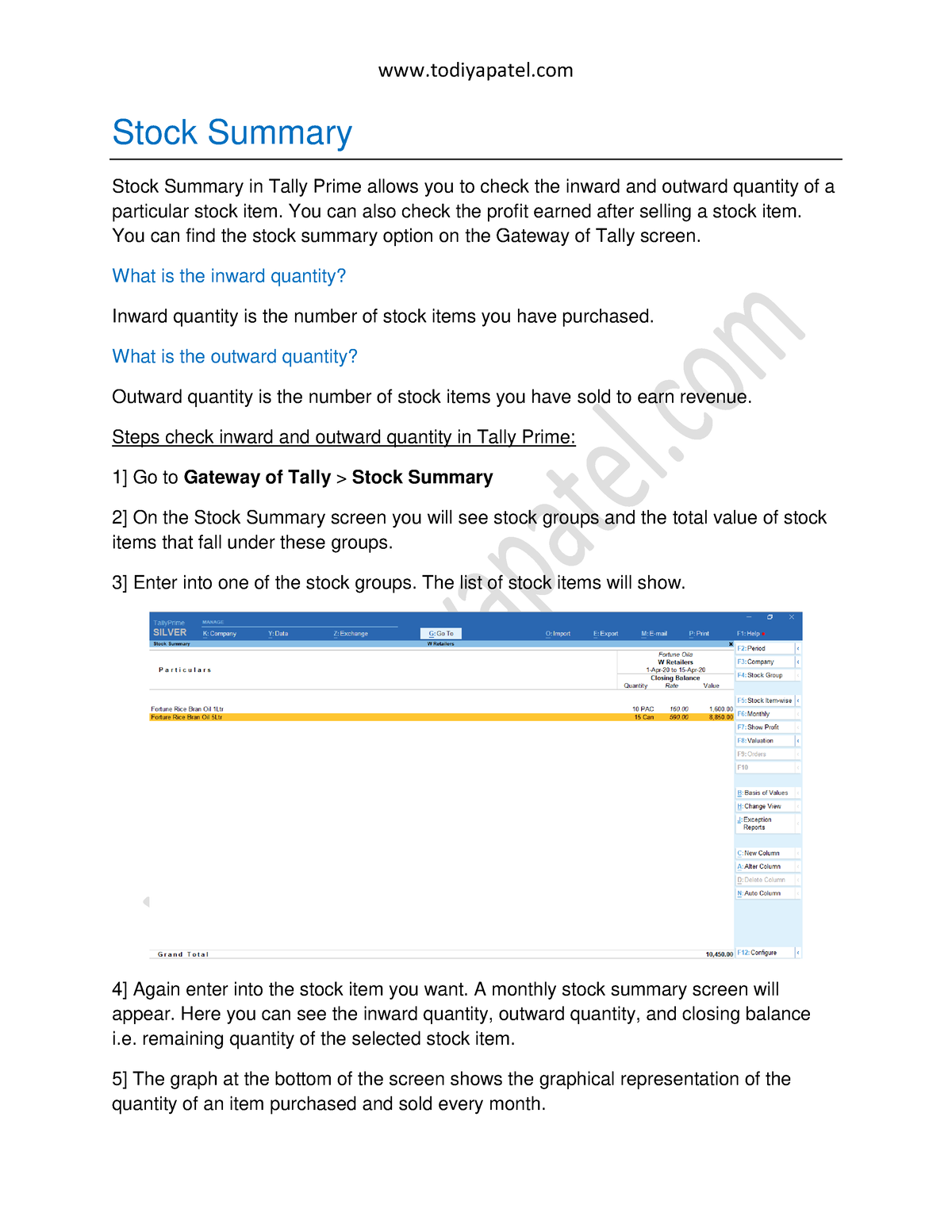 #17 Stock Summary Report Tally Prime Notes Accounts Advice ...