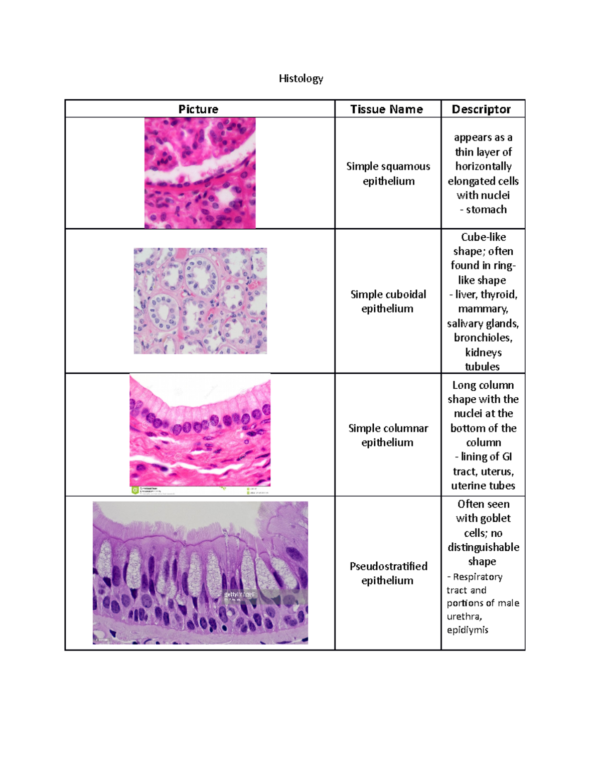 Histology+Images+Chart - Histology Picture Tissue Name Descriptor ...