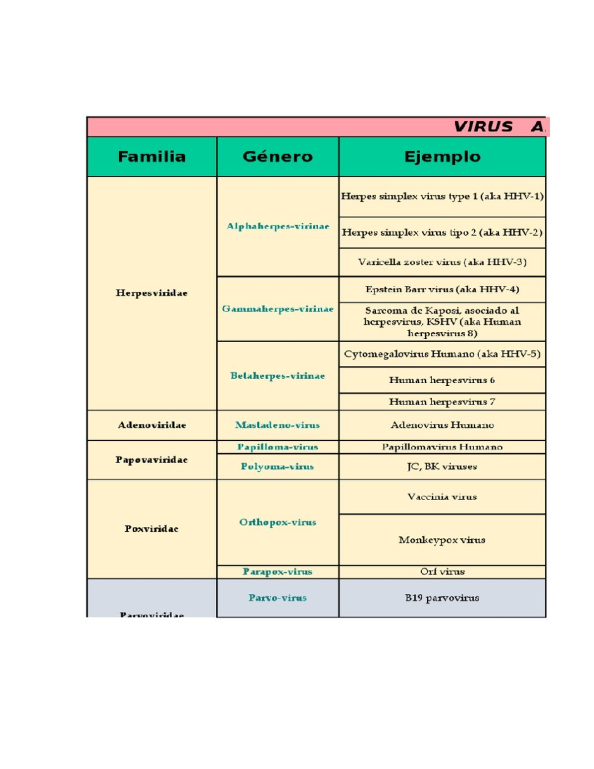 Bacterias Virus Estudiantes Virus A Familia G Nero Ejemplo Herpes