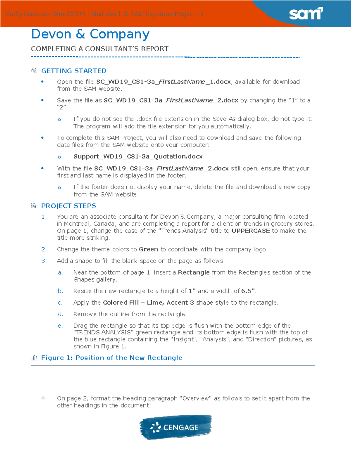 Instructions SC WD19 CS1-3a - Devon & Company COMPLETING A CONSULTANT’S ...