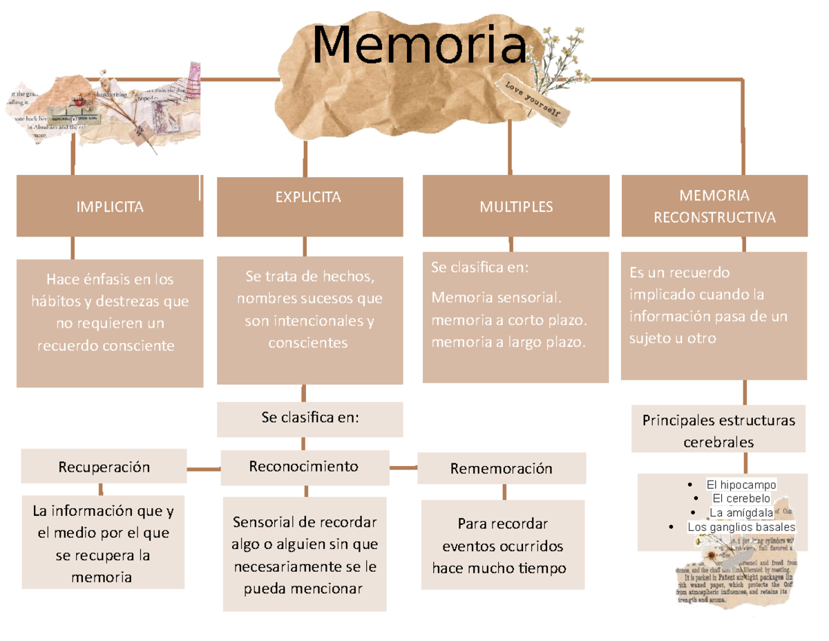 Mapa Conceptual Memoria Sensorial De Recordar Algo O Alguien Sin Que