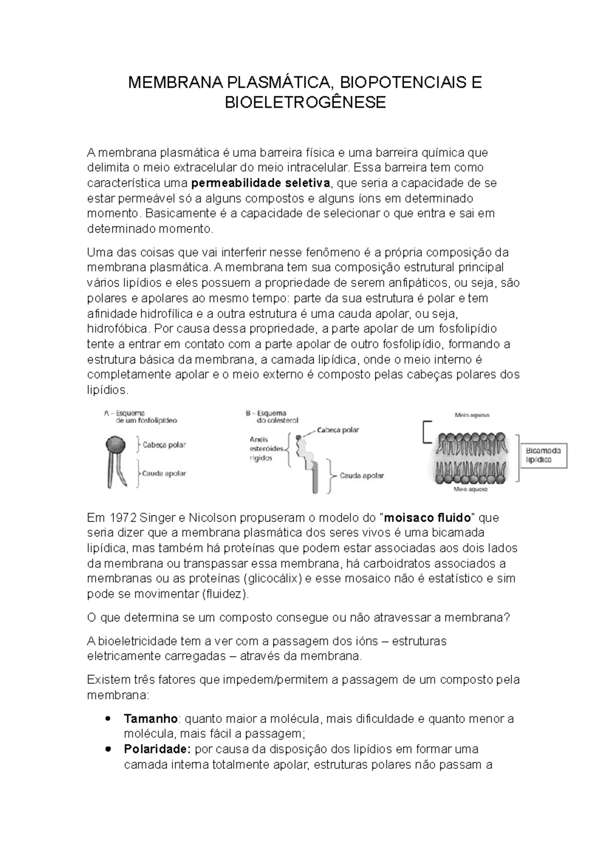 Membrana PlasmÁtica - Resumo Biofisica B - MEMBRANA BIOPOTENCIAIS E A ...