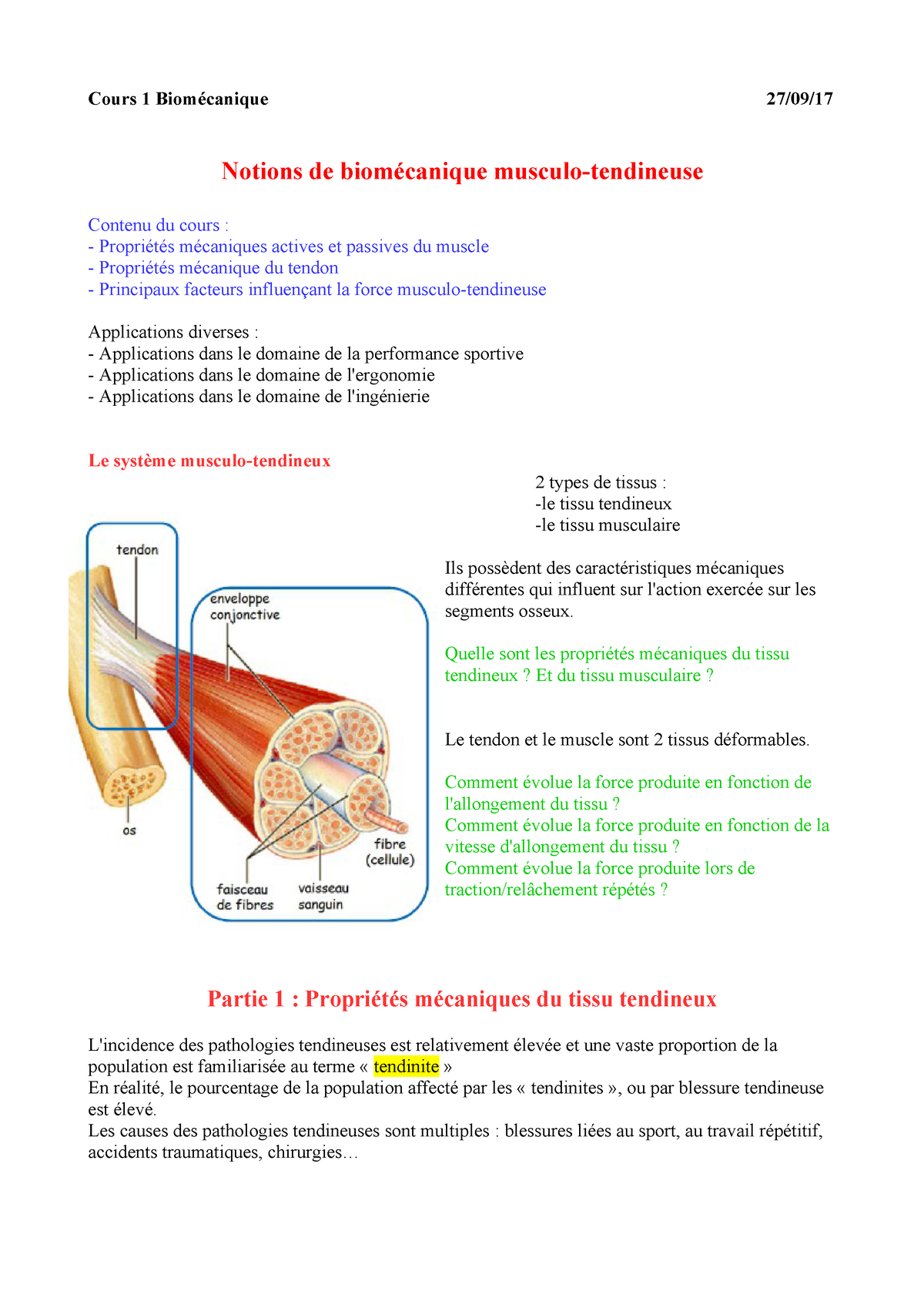 Structures du pied et leurs rôles - biomécanique simplifée