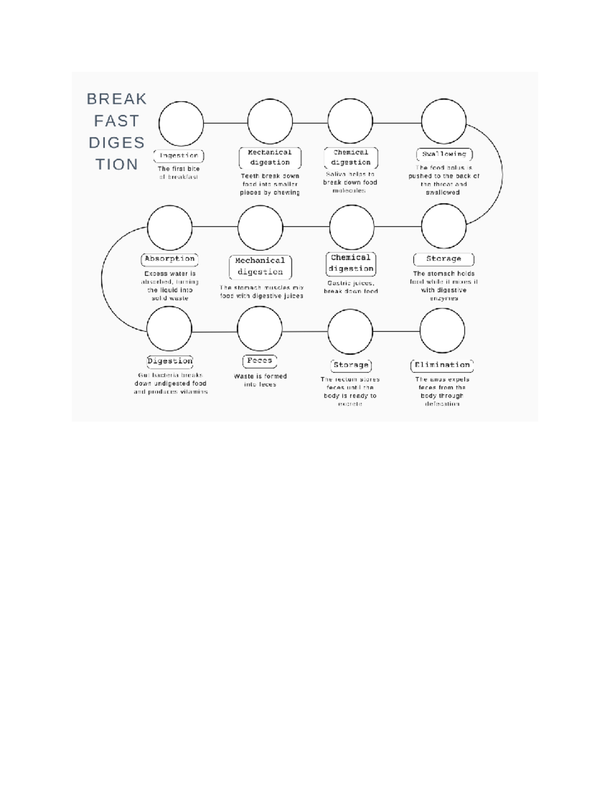 6.  Human Body Challenge: Label These Key External Areas - u7d55qu