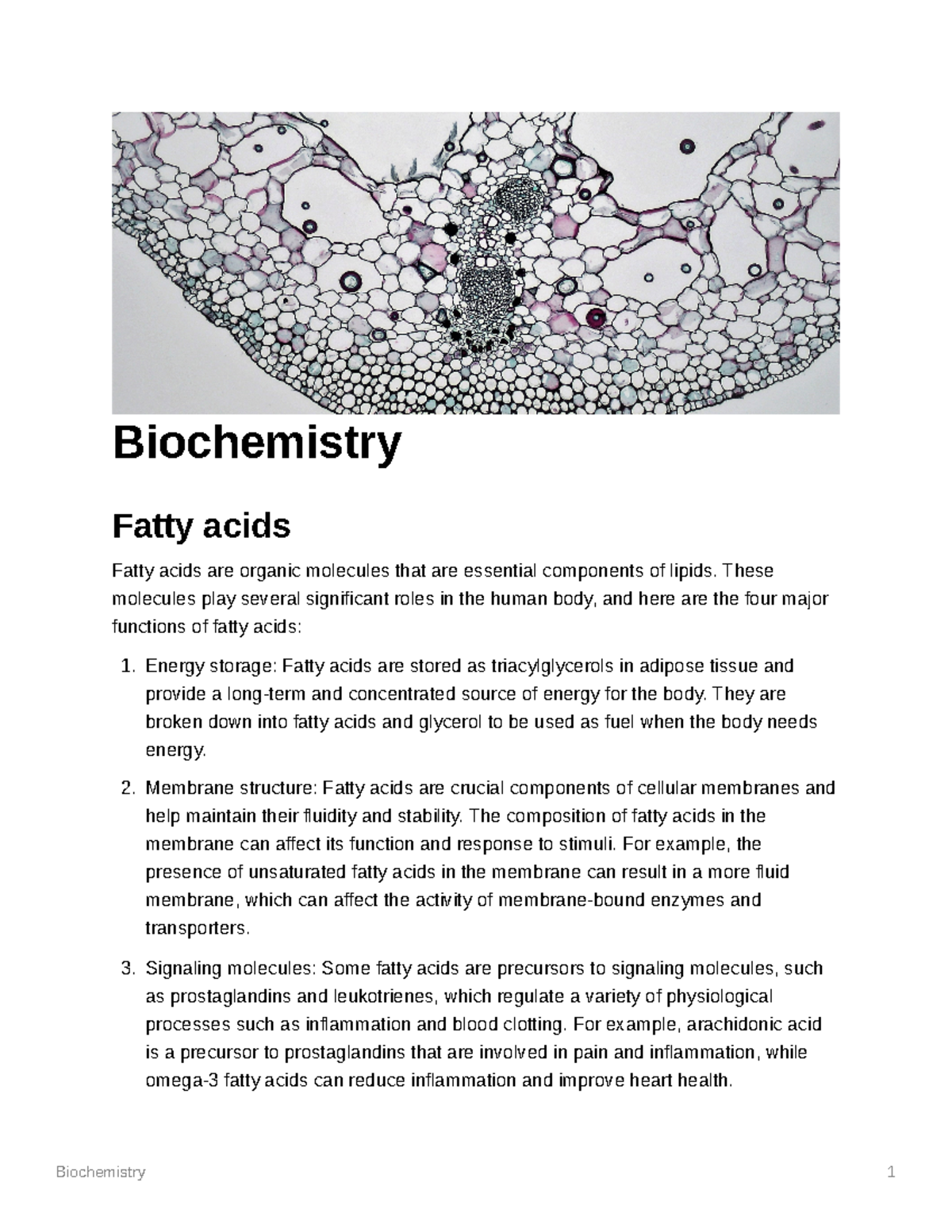Fatty Acids Notes BISC330L USC Studocu