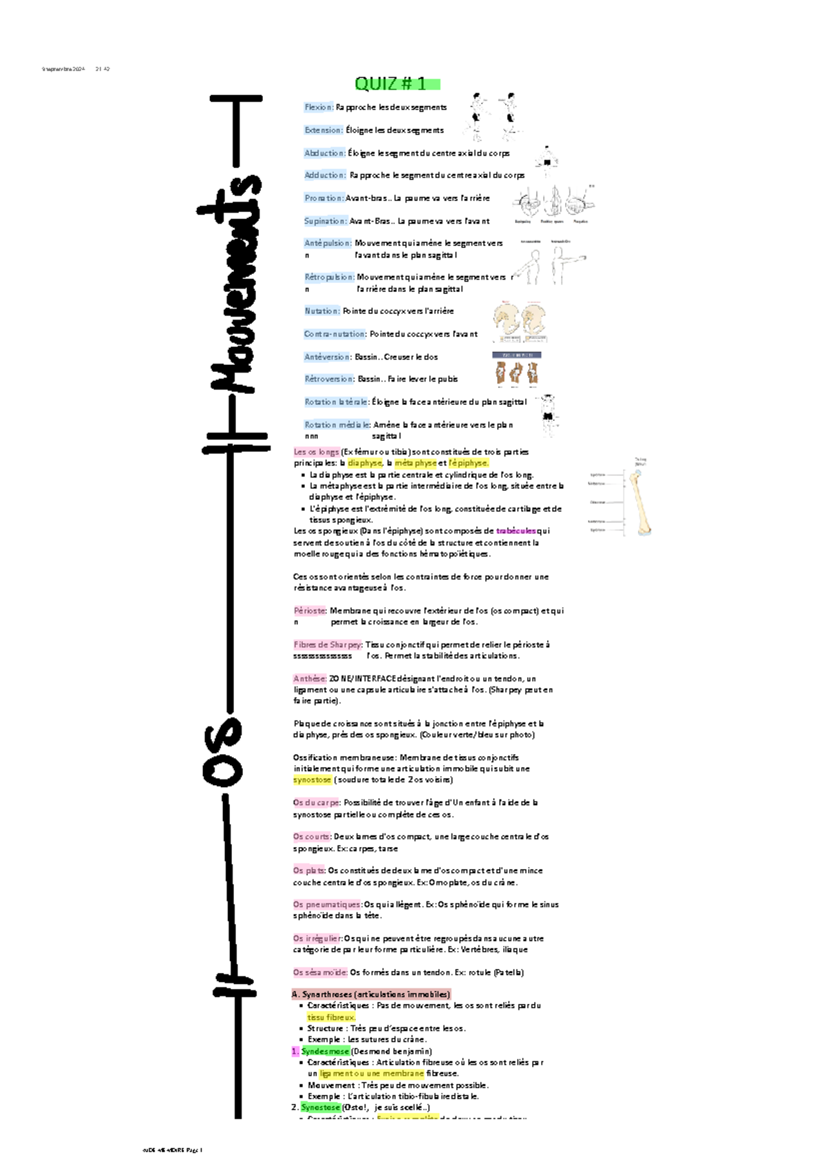 Appareil Locomoteur QUIZ 1 - Flexion: Rapproche les deux segments ...