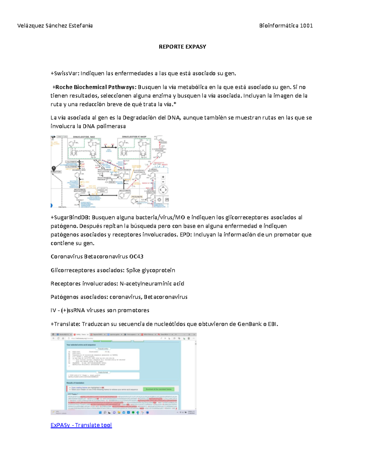 Reporte Expasy Velazquez Sanchez Estefania - Vel·zquez S·nchez ...