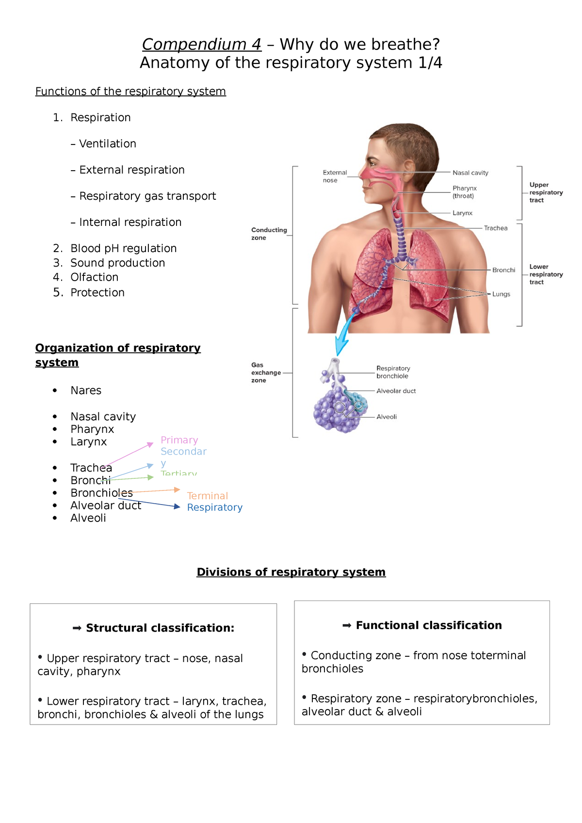 Compendium 4 – Why do we breathe - Compendium 4 – Why do we breathe ...