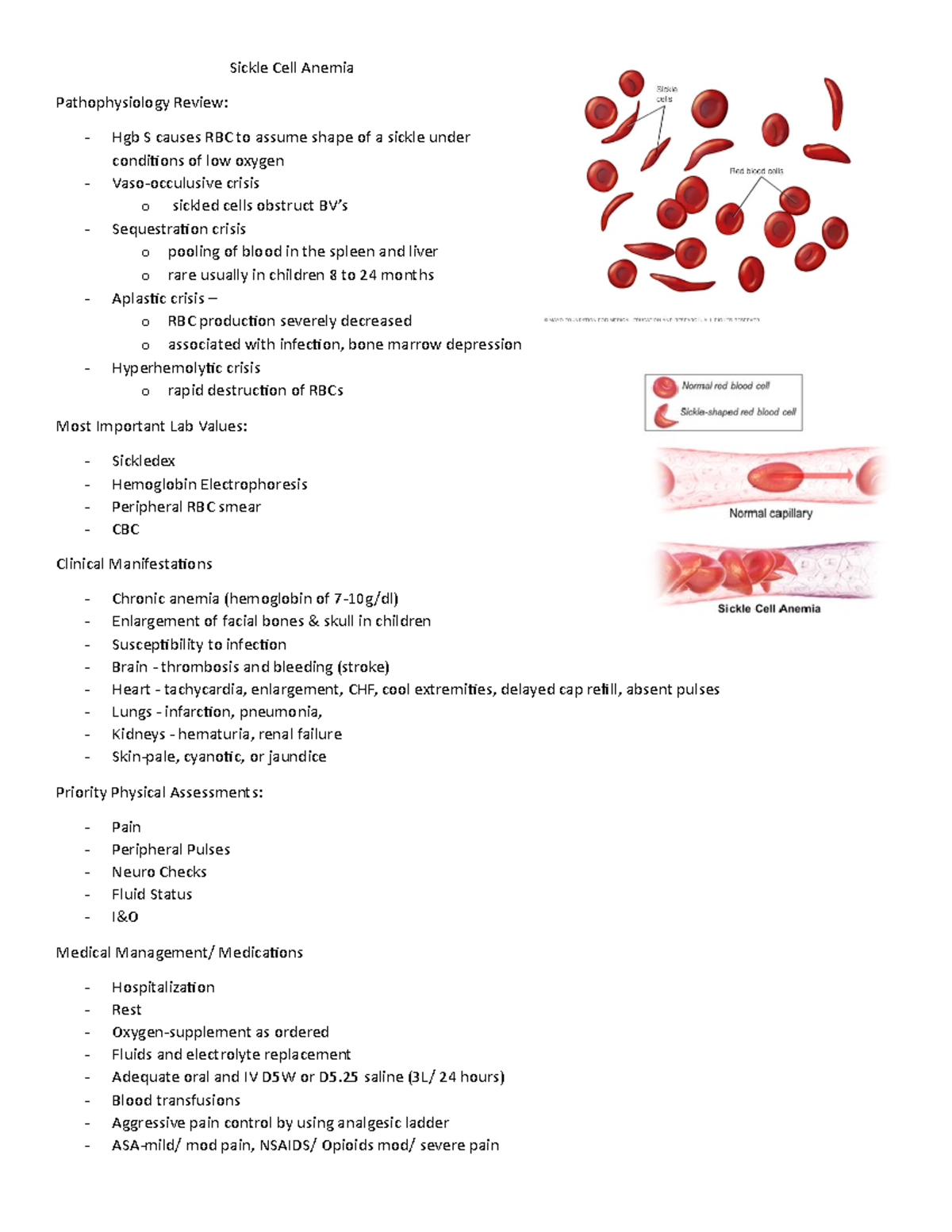 2236 Sickle Cell Anemia Sickle Cell Anemia Pathophysiology Review