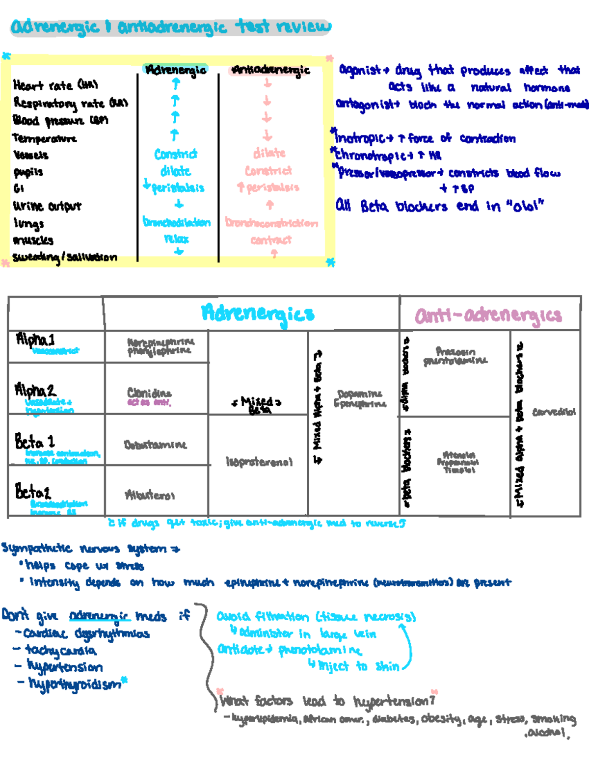 Adrenergic and Antiadrenergic - adrenergic { antiadrenergic test review ...