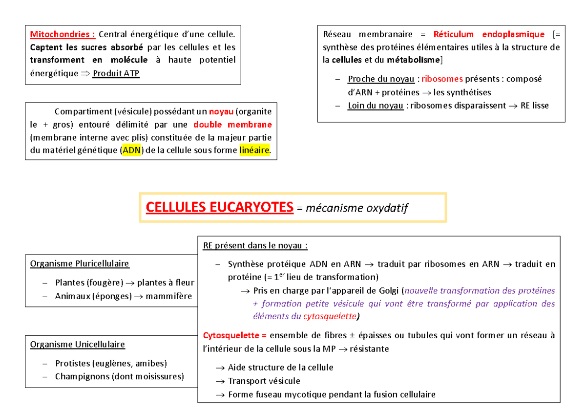 Classe D'organisme Eucaryote Unicellulaire www.studocu.com