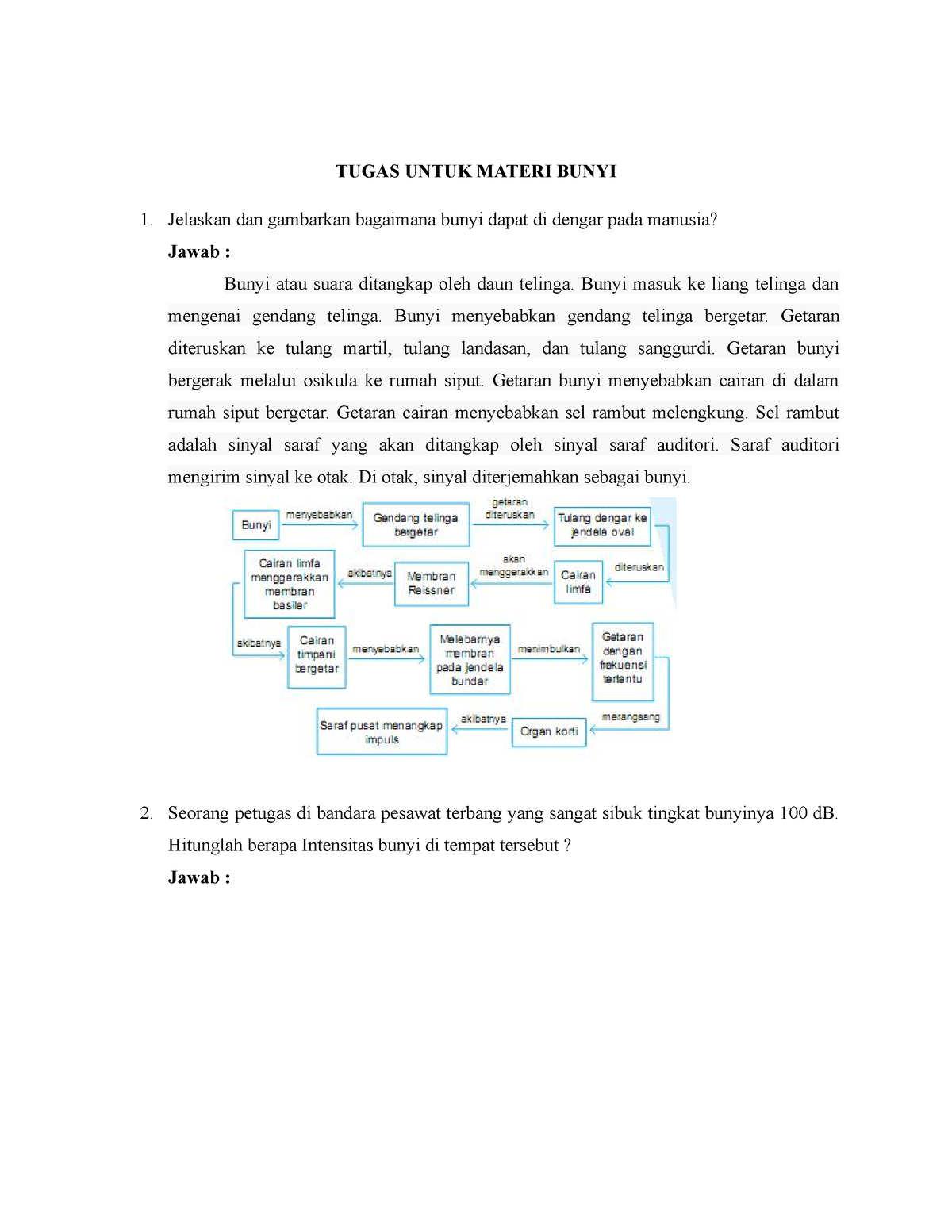 Materi Bunyi Tugas Untuk Materi Bunyi Jelaskan Dan Gambarkan