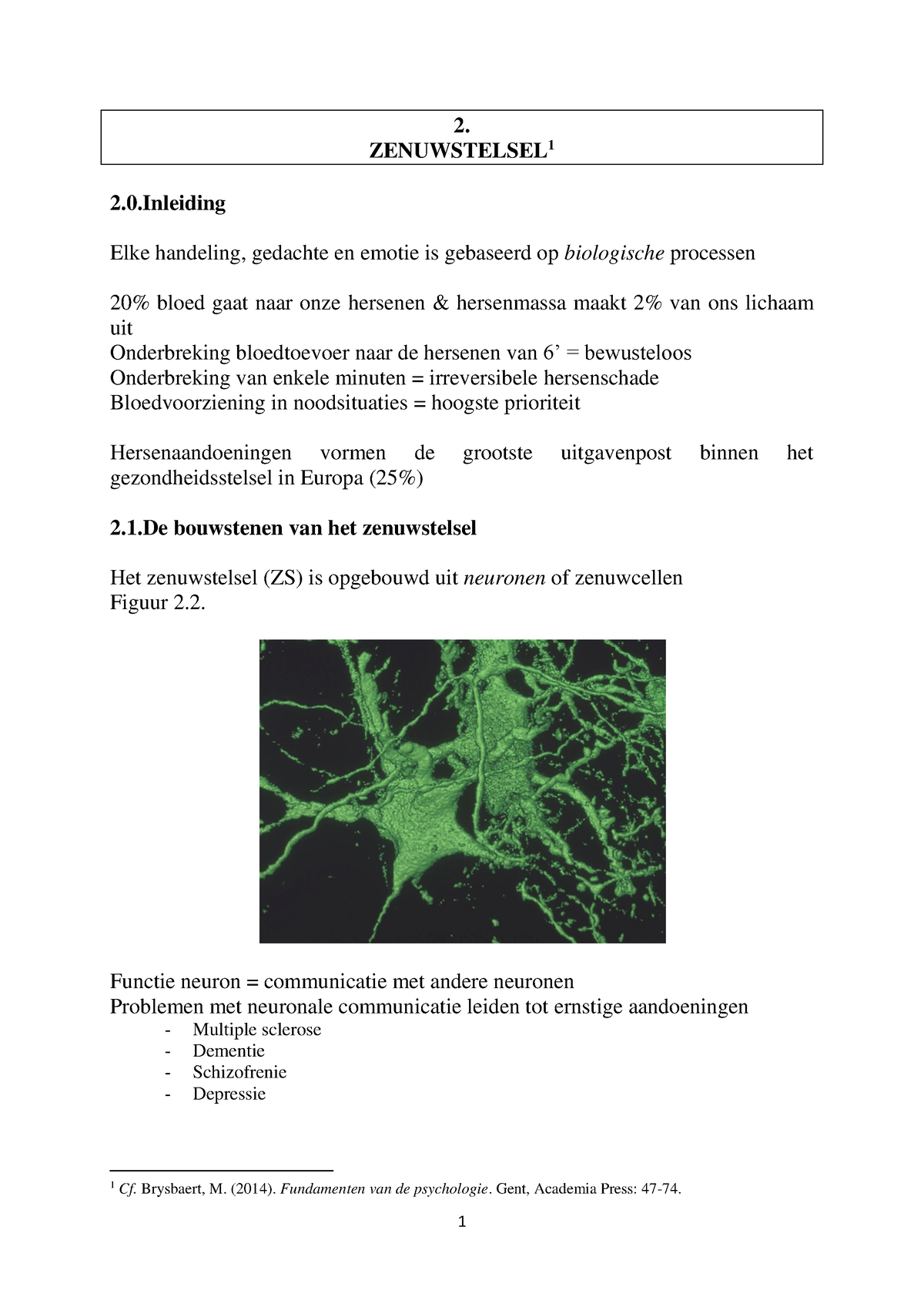 Zenuwstelsel Samenvatting Zenuwstelsel Zenuwstelsel Elke Handeling Gedachte En