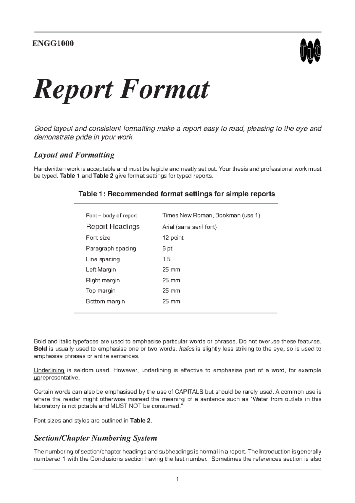 report-format-ssss-report-format-good-layout-and-consistent