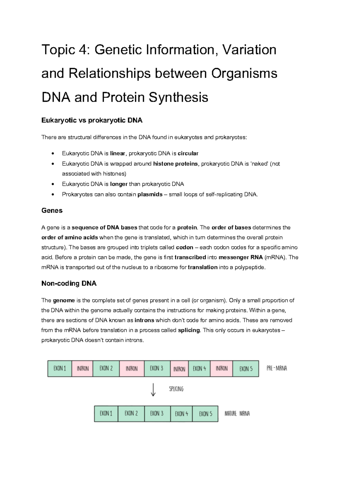 Topic+4+DNA+and+Protein+Synthesis - Topic 4: Genetic Information ...