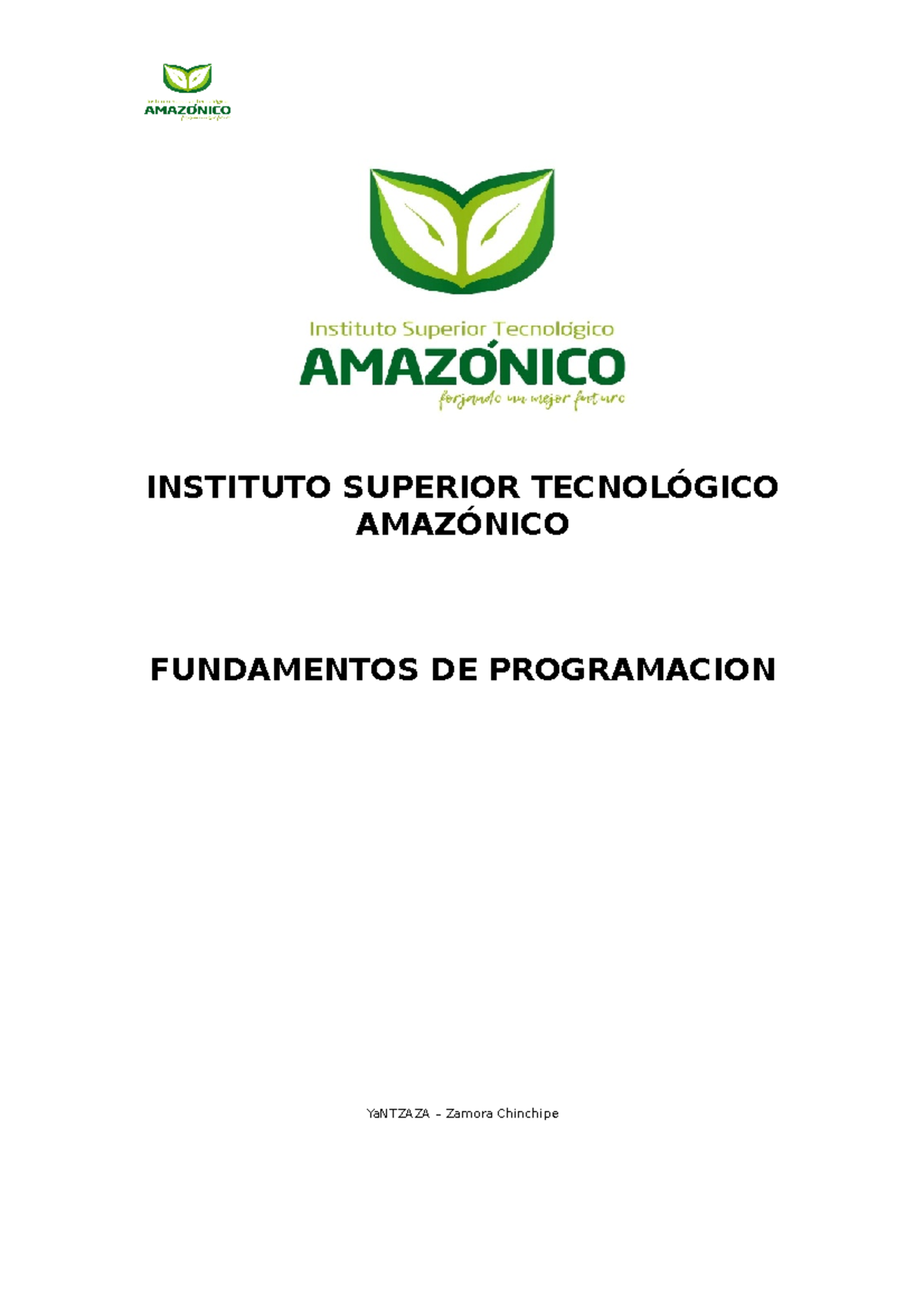 Instituto Superior Tecnológico Amazónico - INSTITUTO SUPERIOR ...