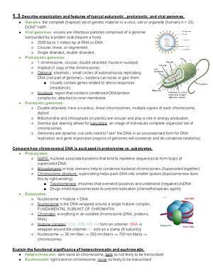 Test corrections Exam 2 - Version B 9. What is the expected phenotypic ...
