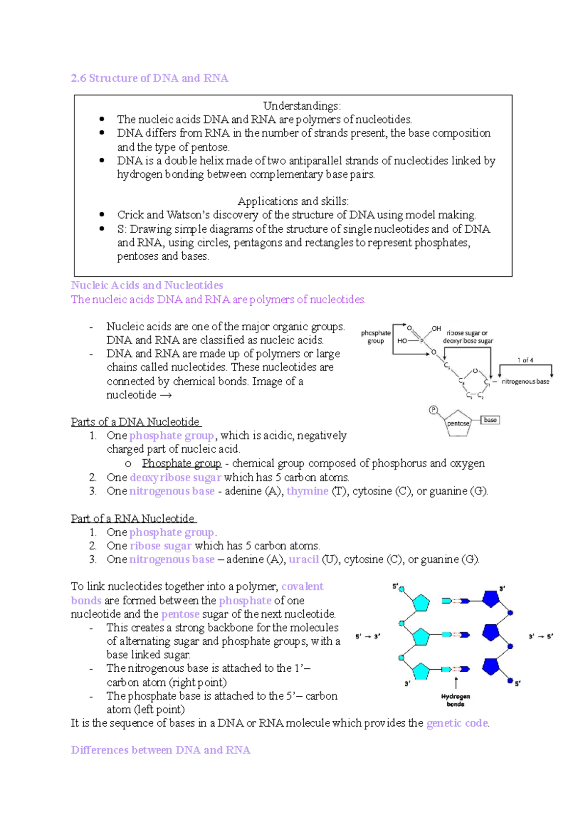2.6 Structure of DNA and RNA - 2 Structure of DNA and RNA Nucleic Acids ...