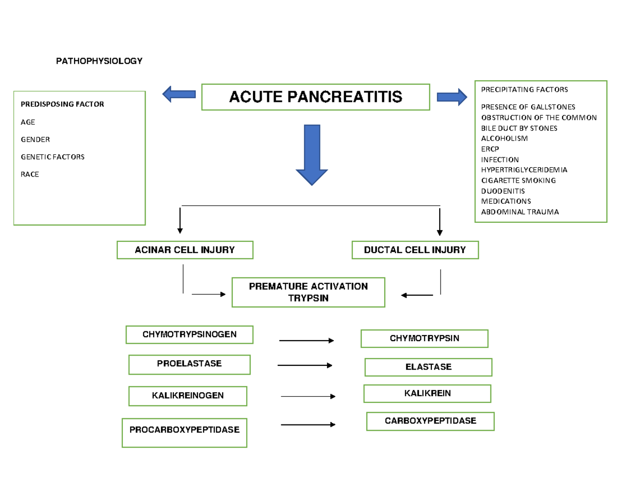 acute-pancreatitis-pathophysiology-pathophysiology-acute