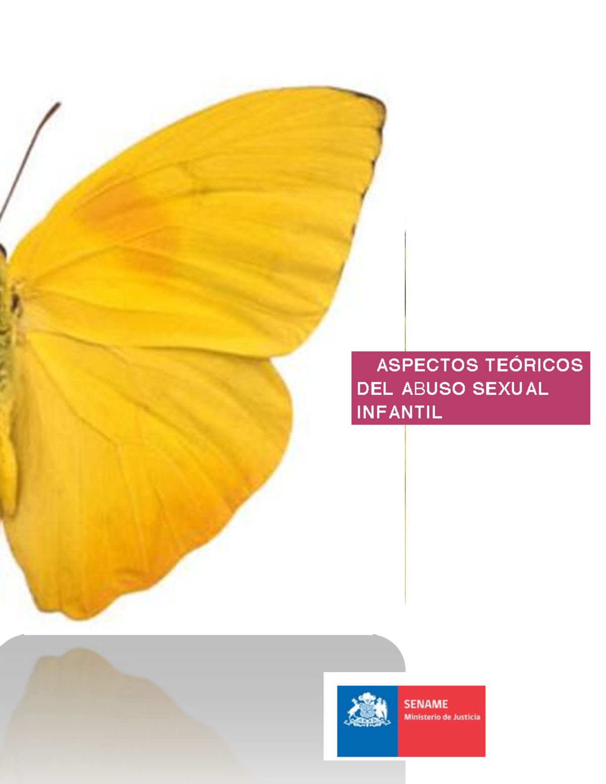 549844159 guia prevencion de abuso sexual infantil - ASPECTOS TEÓRICOS ...