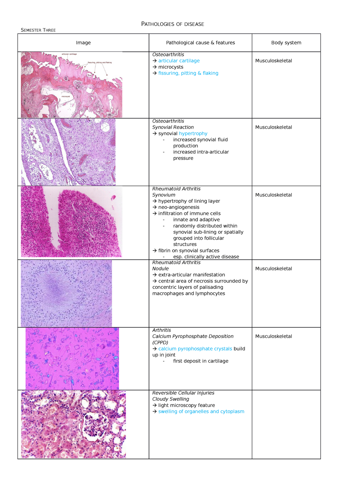 Summary of Year 2 Pathologies - SEMESTER THREE Image Pathological cause ...