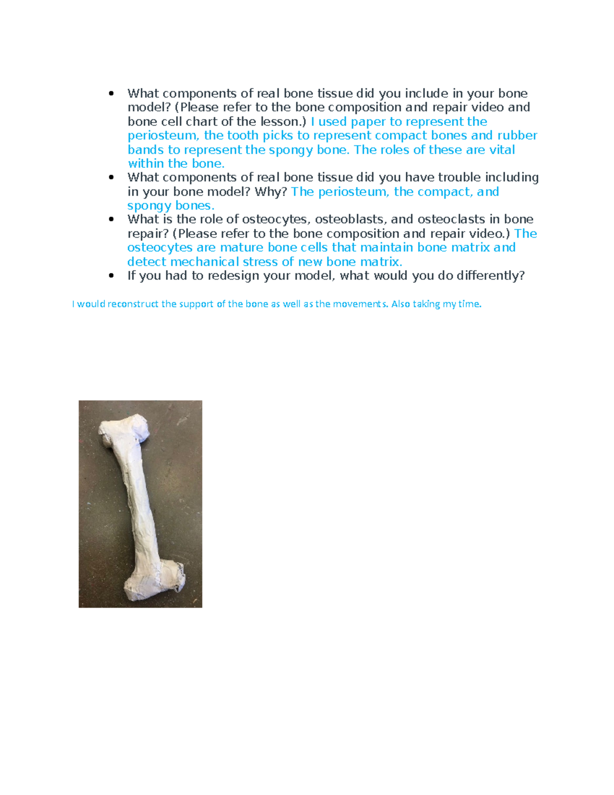 Bone tissue project What components of real bone tissue did you