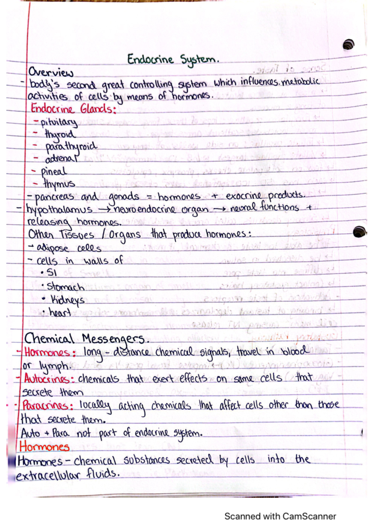 Endocrine notes - BIOL 3338 - Studocu