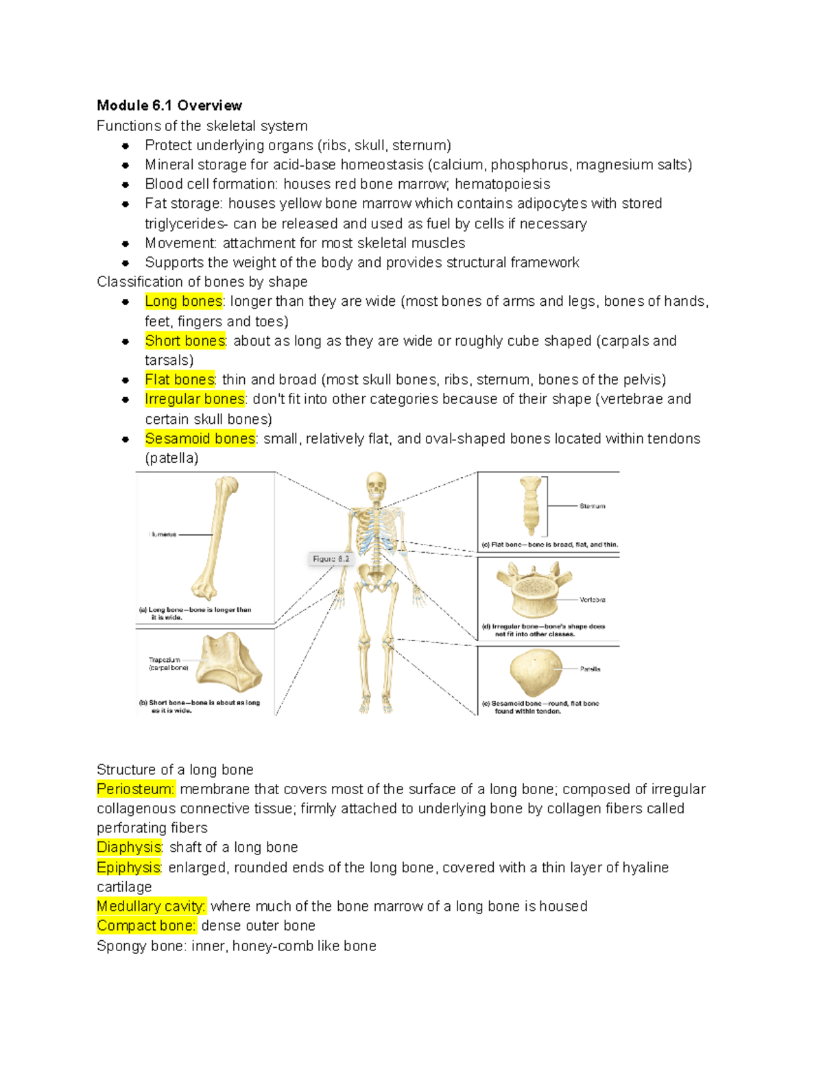 Chapter 6 Bones And Bone Structure - Module 6 Overview Functions Of The ...