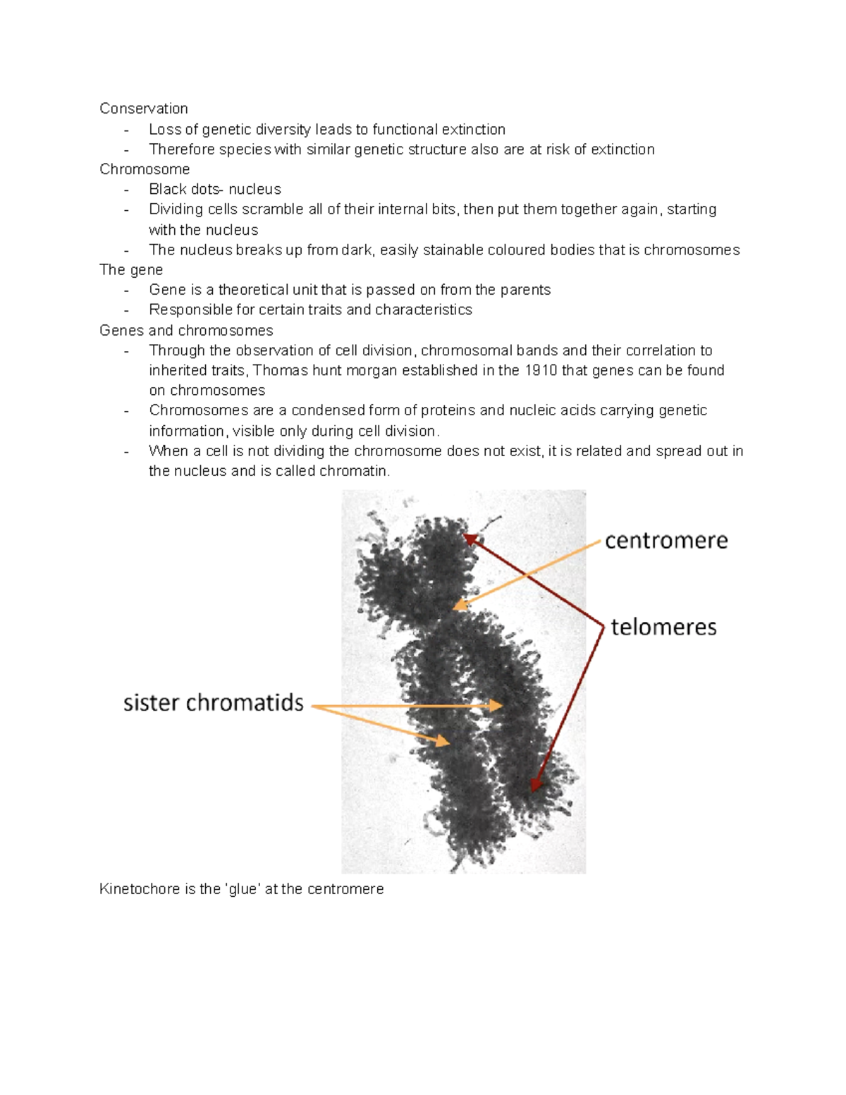 BIO1003 - Conservation - Loss of genetic diversity leads to functional ...