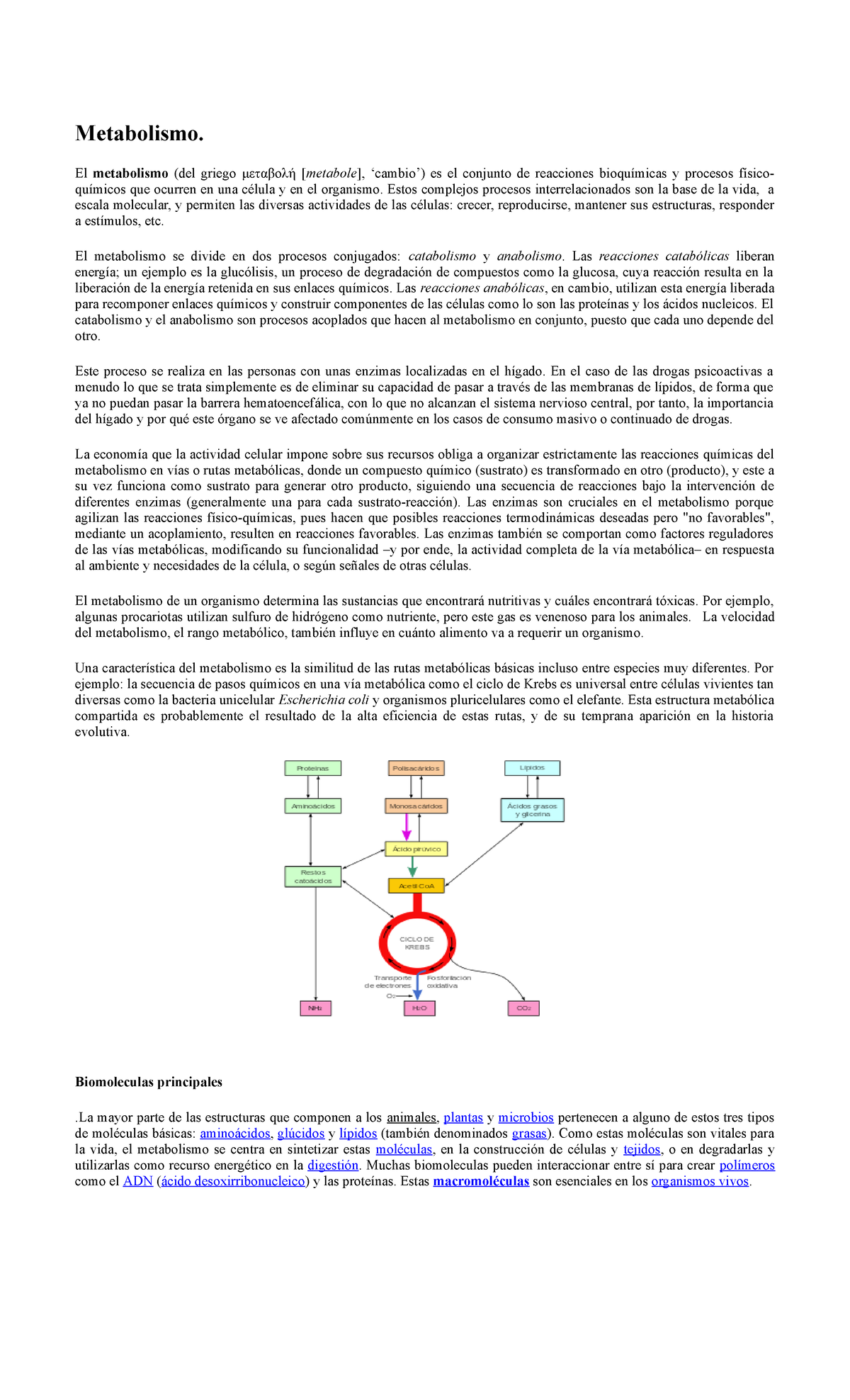 escala de catabolismo anabolismo