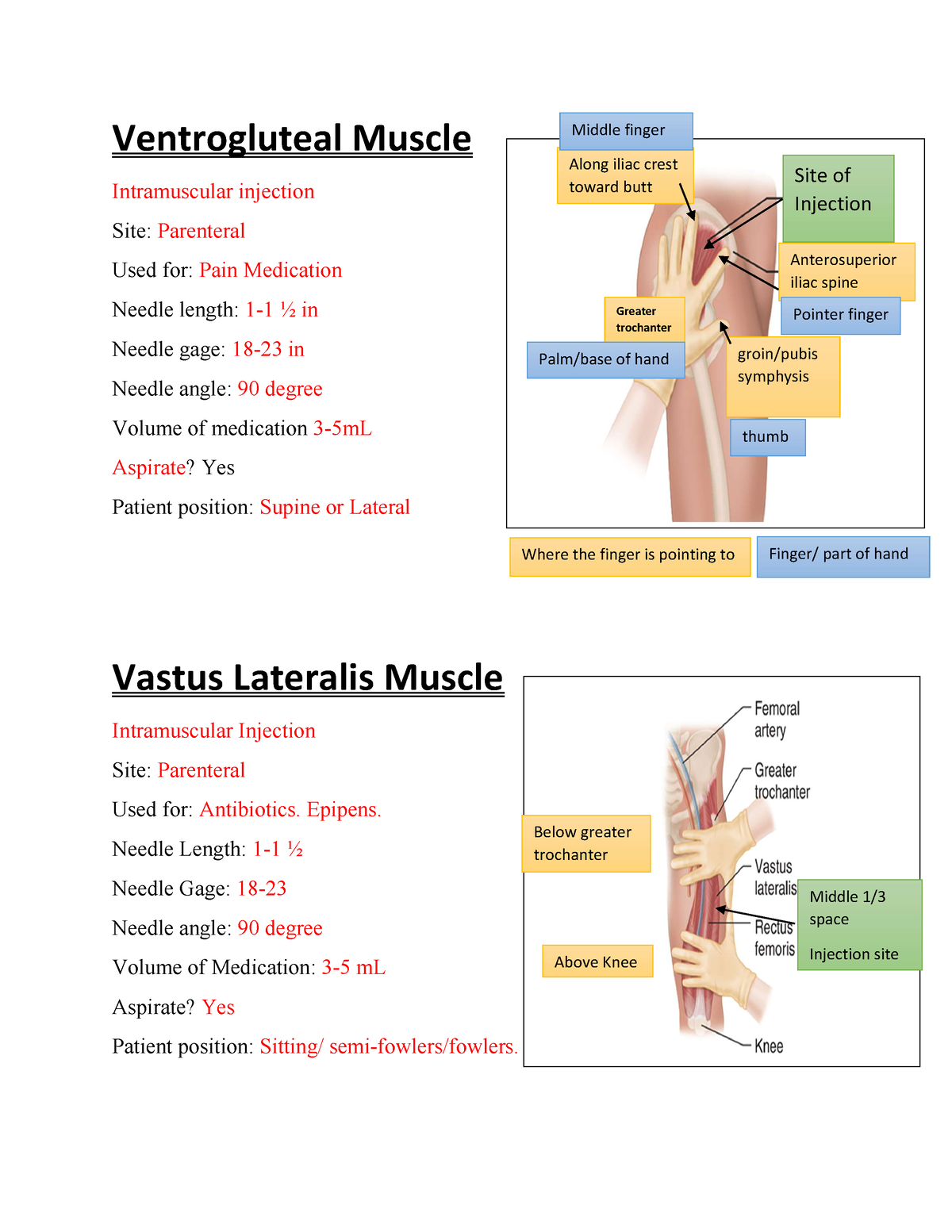 Injection Site Cheat Sheet Pdf Ventrogluteal Muscle Intramuscular