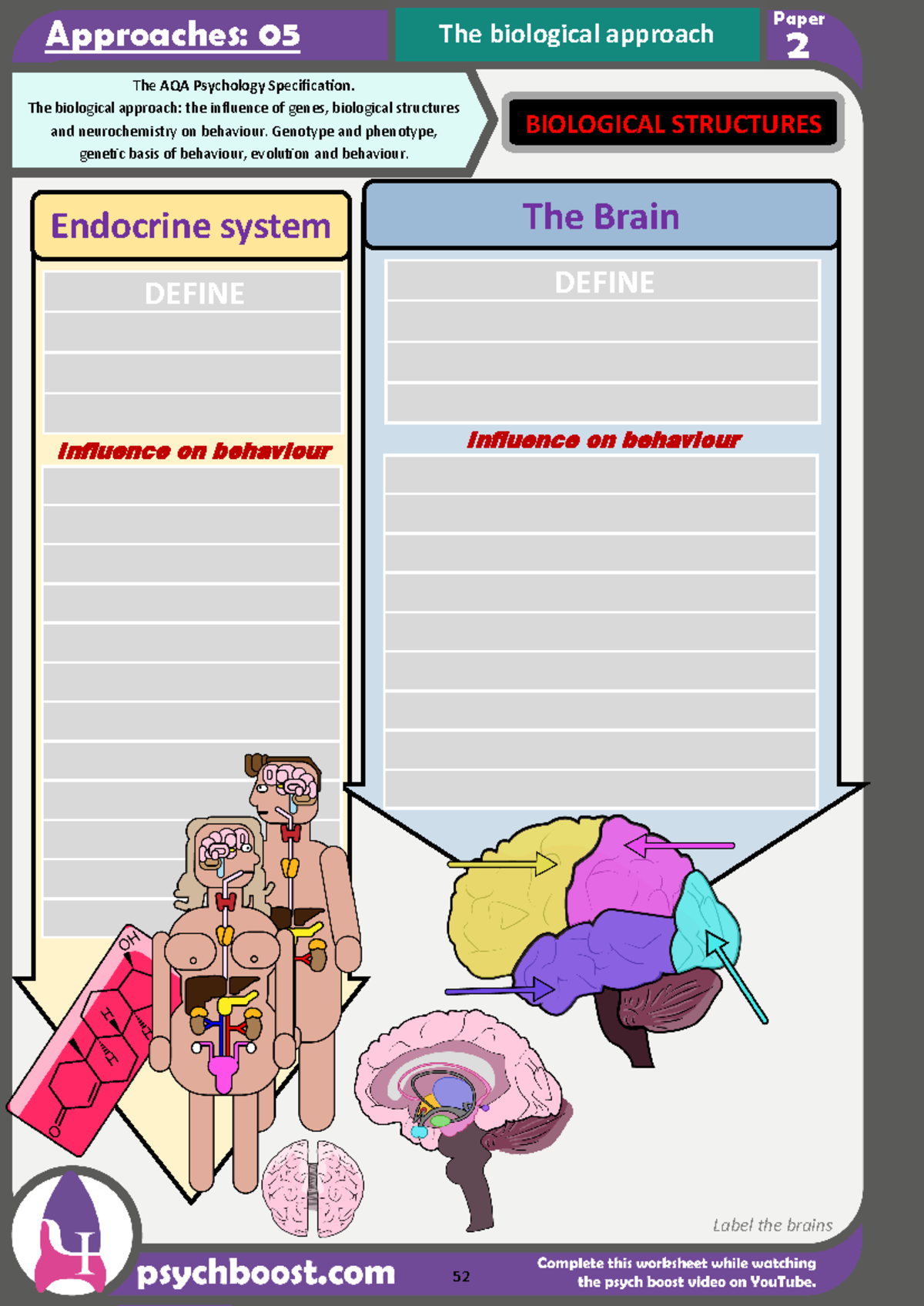 Biopsychology Worksheets - Approaches: 05 The biological approach 2 The ...