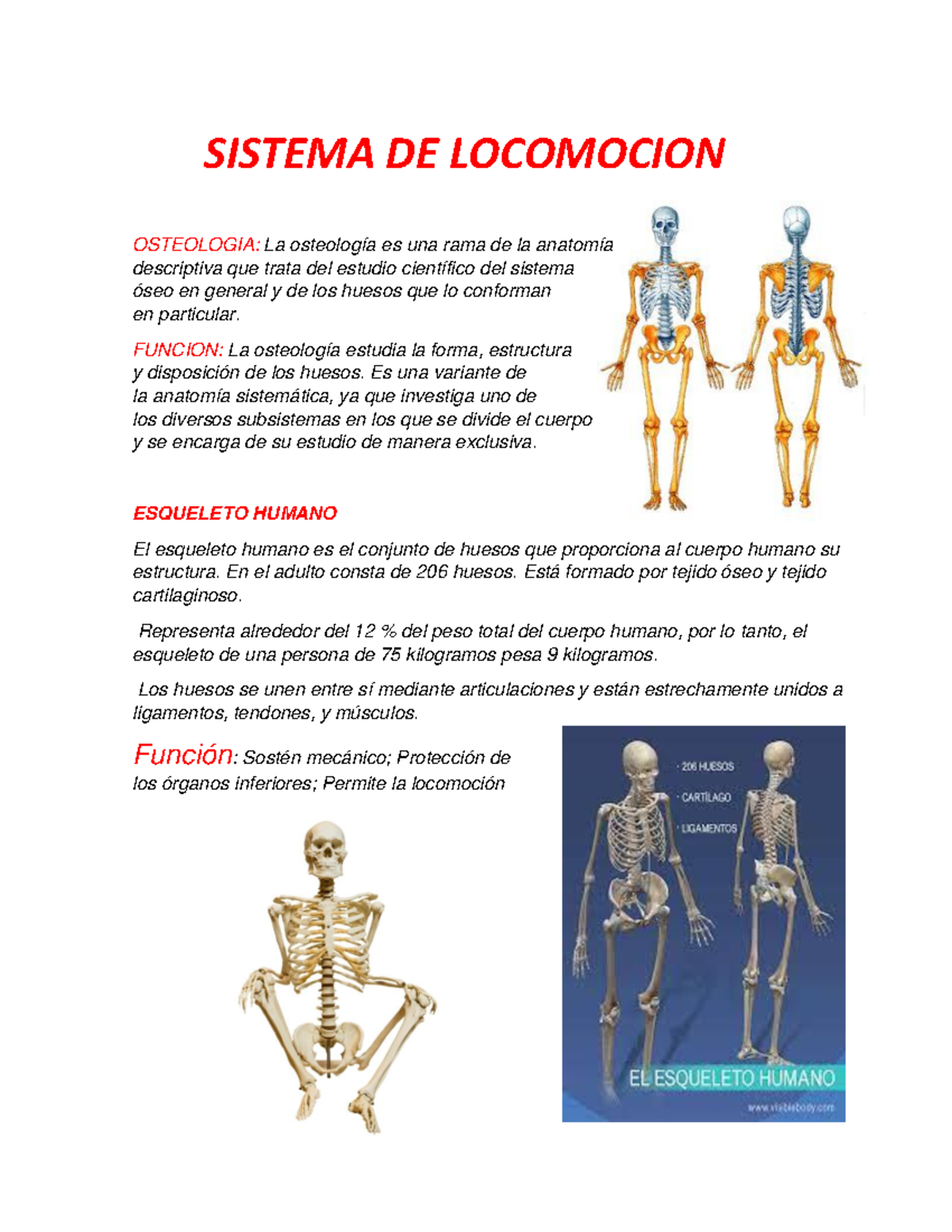 Sistema DE SISTEMA DE OSTEOLOGIA La osteología es una rama de la
