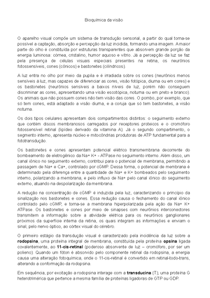 Resumo metabólica - Bioquímica da digestão 2 - Bioquímica do rúmen ...