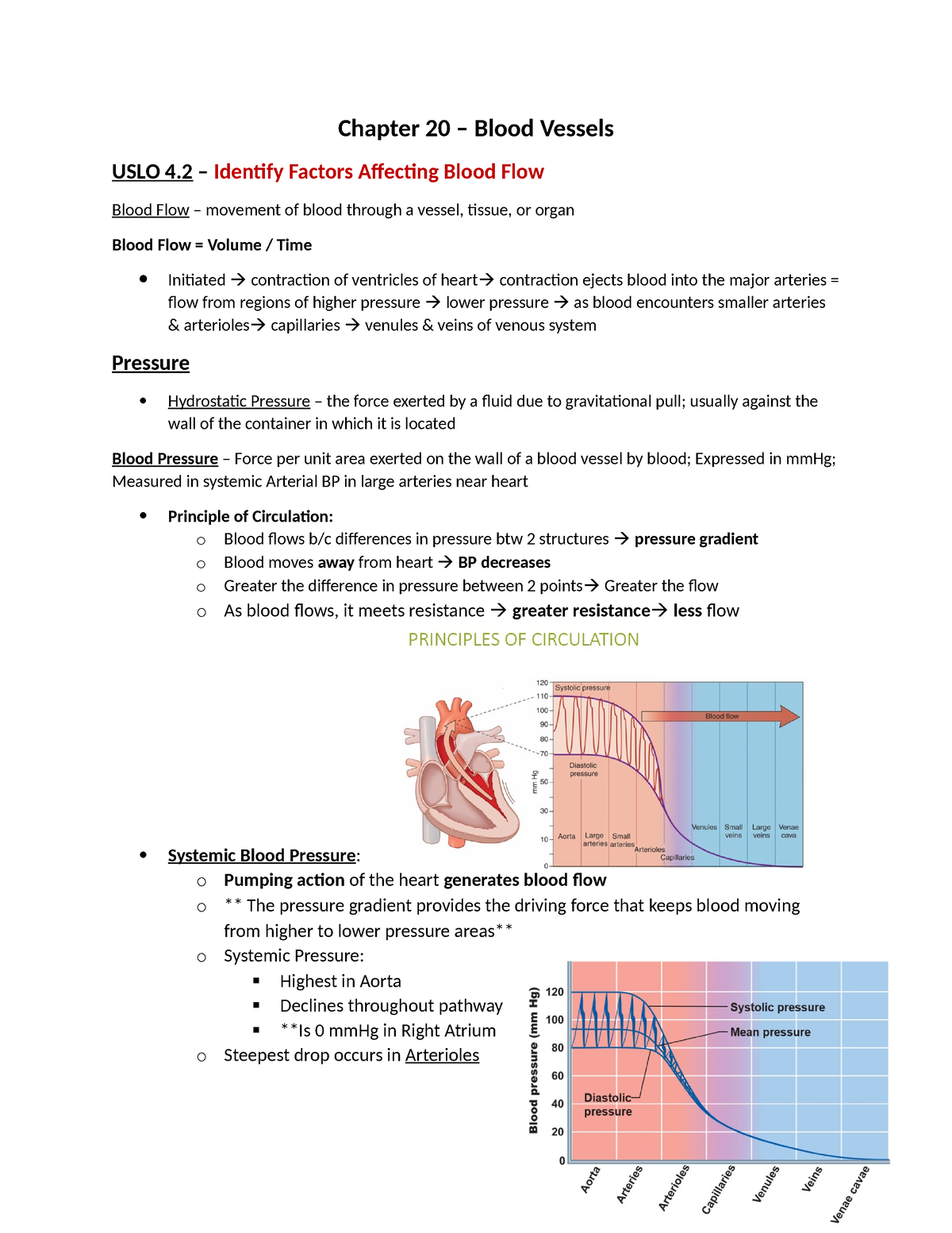 unit-4-2-identify-factors-affecting-blood-flow-chapter-20-blood-vessels-uslo-4-identify