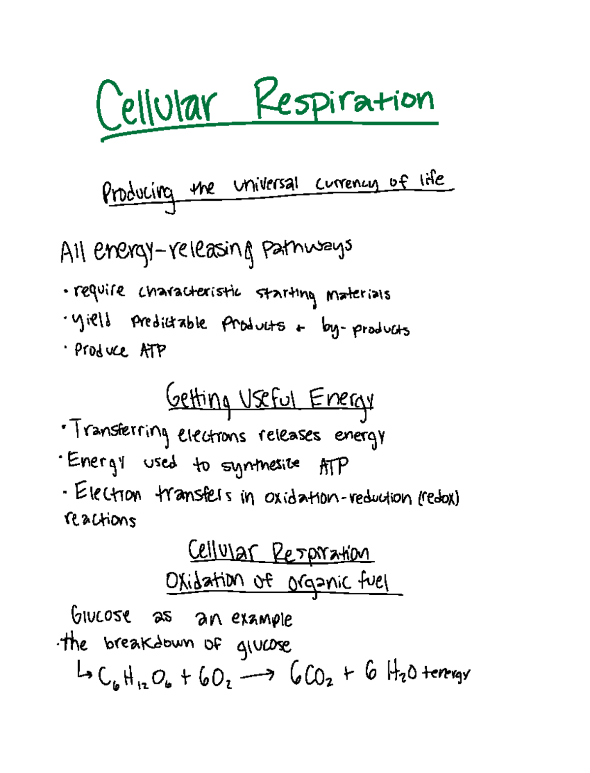 Cellular Respiration Lecture Cellularrespiration