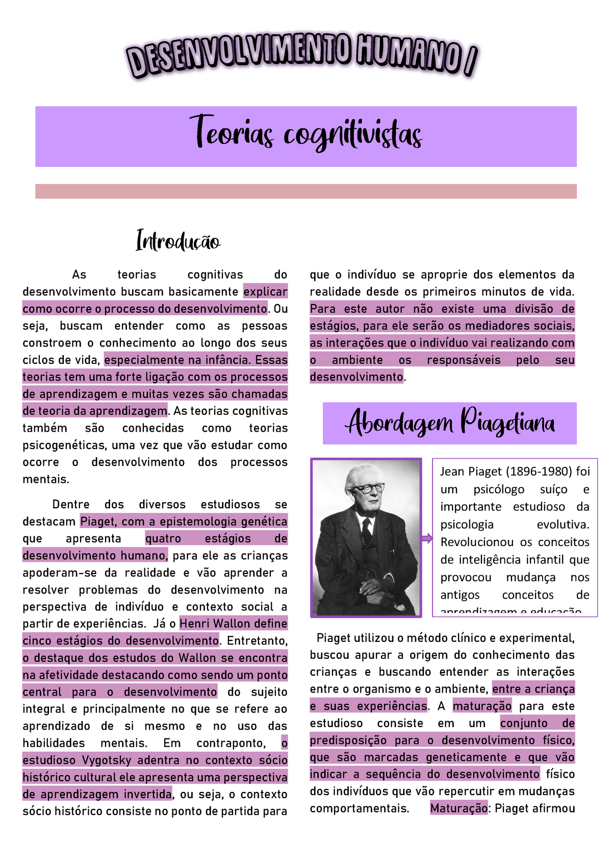 Teoria Cognitivista DH As teorias cognitivas do desenvolvimento