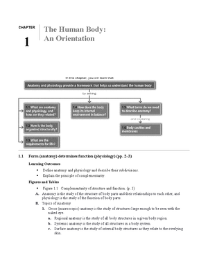 Chapter 3 Lecture Notes (Marieb Anatomy Book) - Cells: The Living Units ...