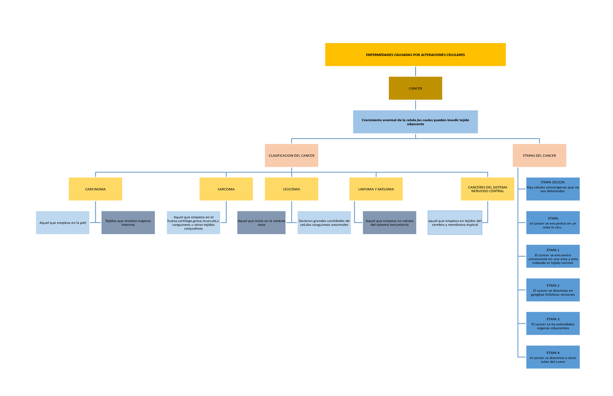 4. Cancer - ENFERMEDADES CAUSADAS POR ALTERACIONES CELULARES CANCER ...