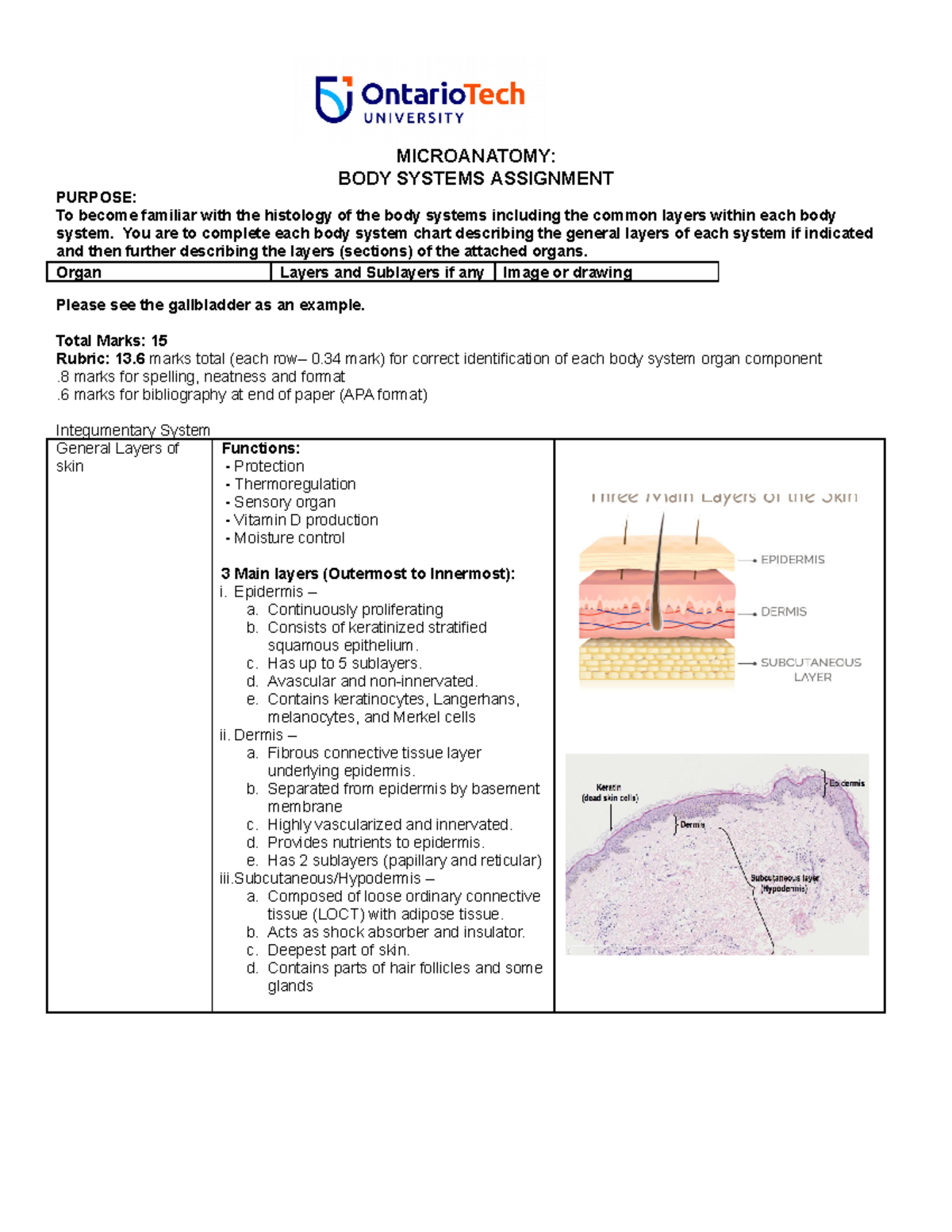 2021_Body System Assignment MICROANATOMY BODY SYSTEMS ASSIGNMENT