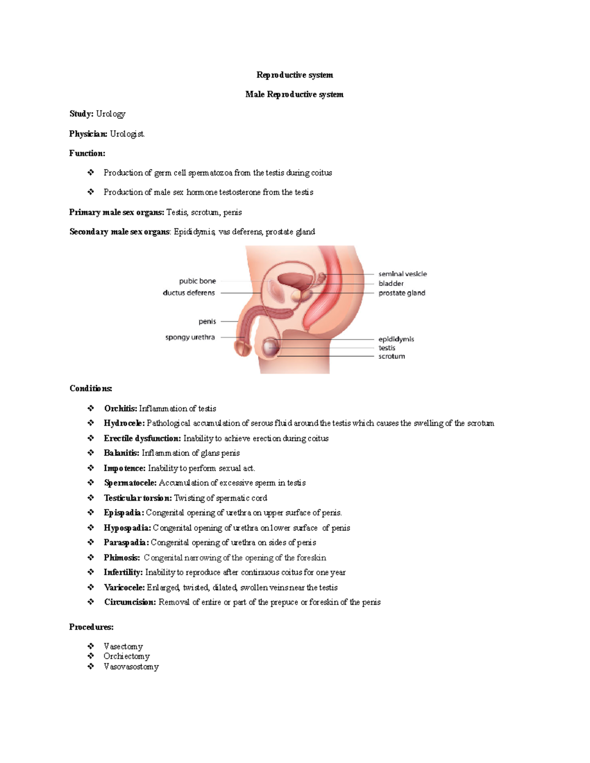 Reproductive system - Reproductive system Male Reproductive system ...