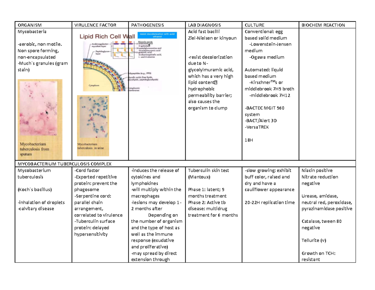 Mycobacteria table (2021-2022) - ORGANISM VIRULENCE FACTOR PATHOGENESIS ...