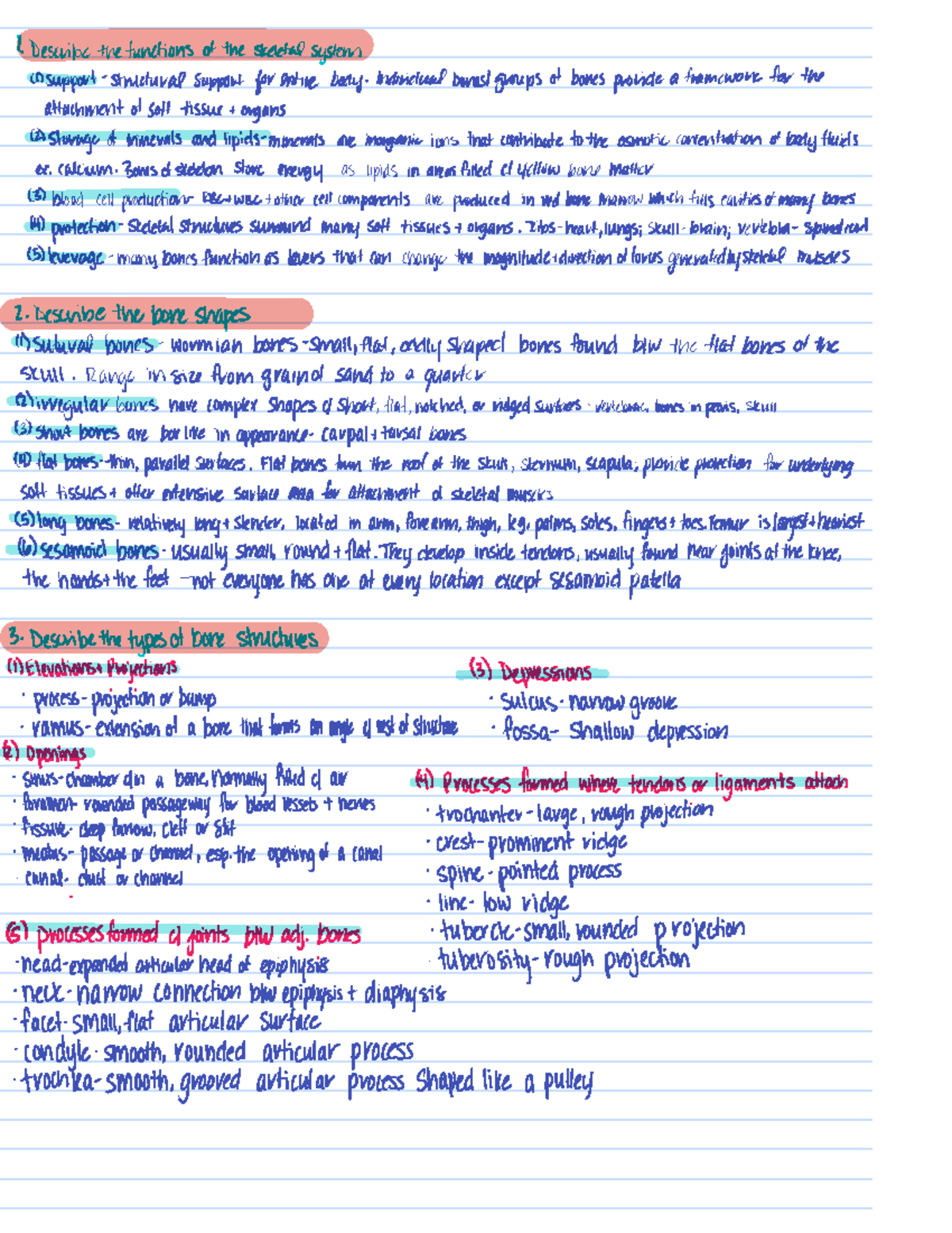 Unit 2 - Notes from book - Fundamentals of Anatomy &amp; Physiology - Hkr ...