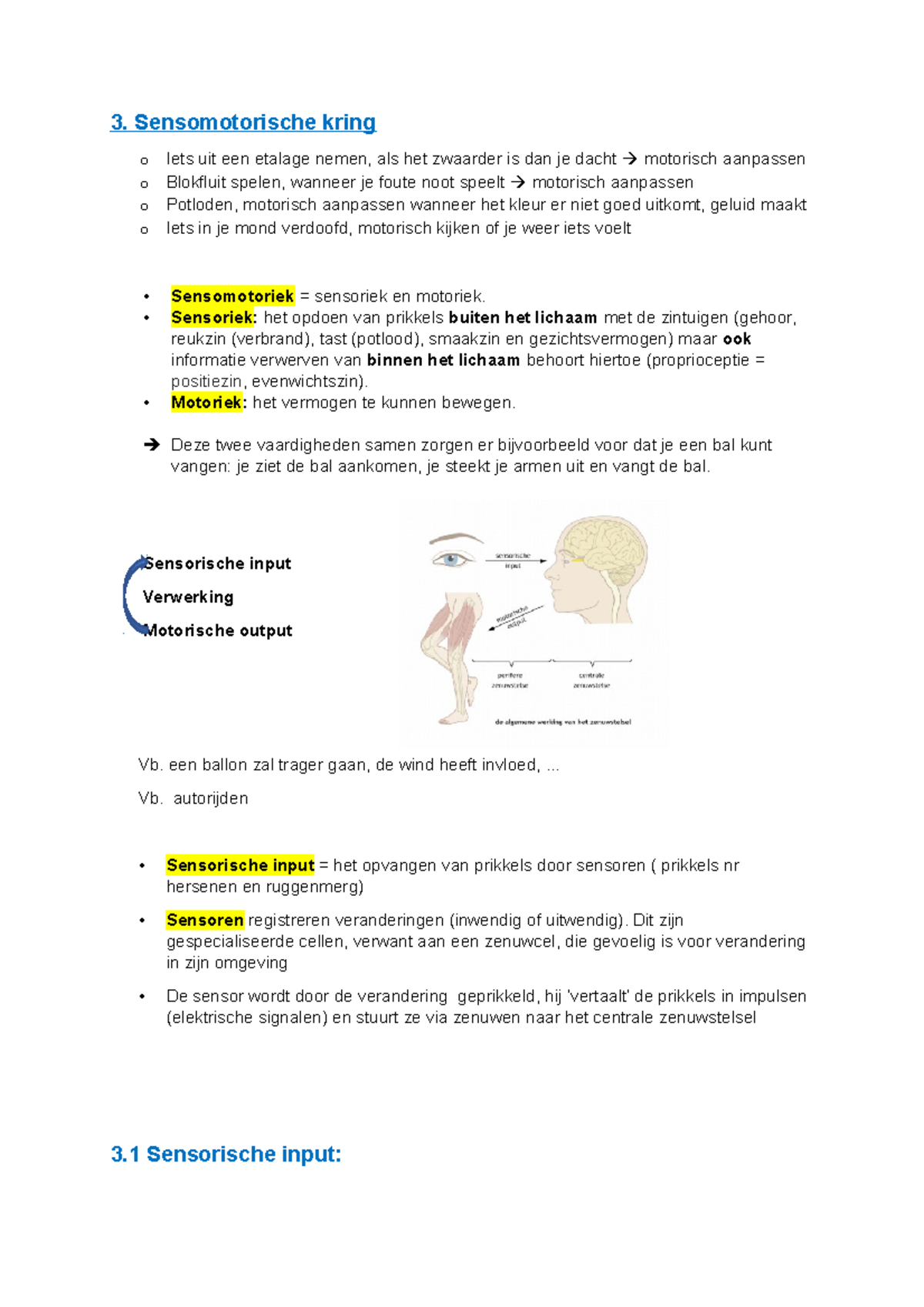 3. Sensomotorische Kring & Zenuwstelsel - 3. Sensomotorische Kring O ...