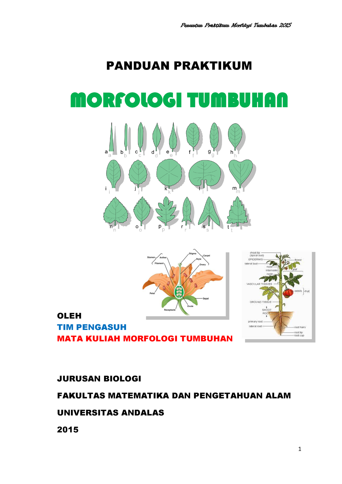 Penuntun Praktikum Morfologi Tumbuhan Panduan Praktikum Morfologi Tumbuhan Oleh Tim Pengasuh 2838